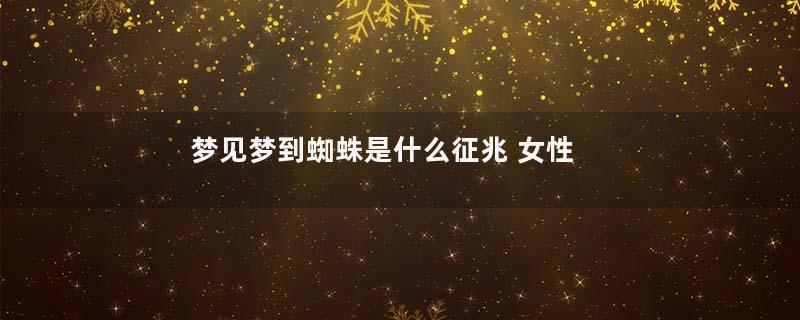 梦见梦到蜘蛛是什么征兆 女性
